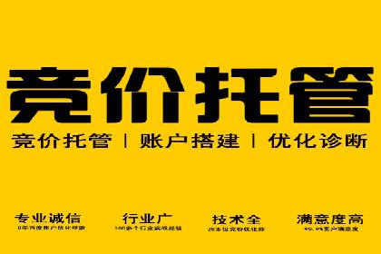 某知名企业SEM专员的成长之路